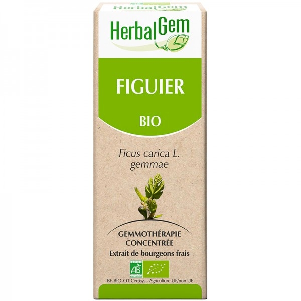 Phytothérapie Figuier Bourgeon Bio -  Flacon 50ml Herbalgem