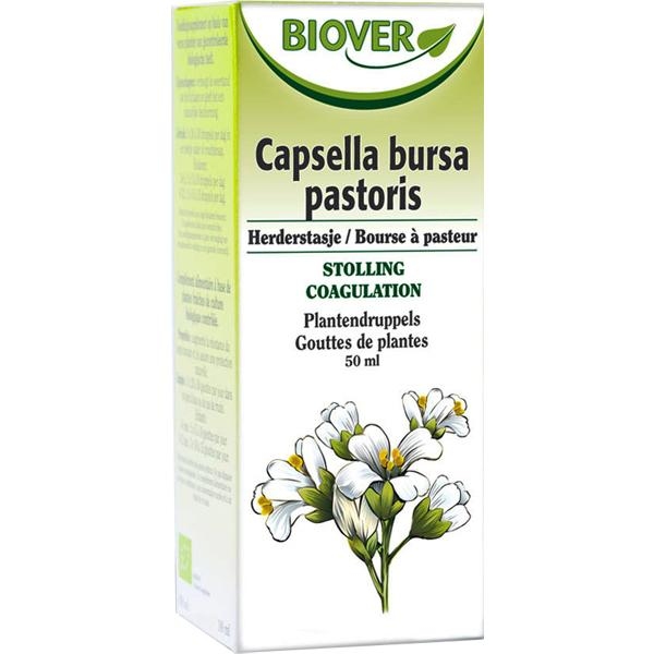 Bourse a Pasteur - Extrait de Plante Fraîche Bio - Biover