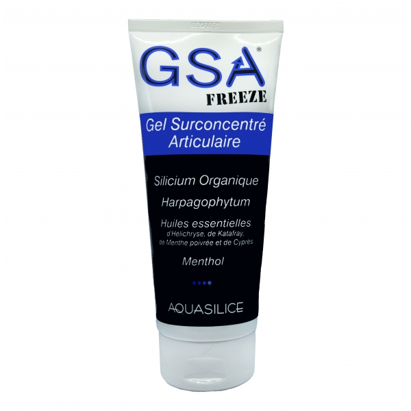 GeSIL Freeze 200 ml - Gel Surconcentre Articulaire GSA