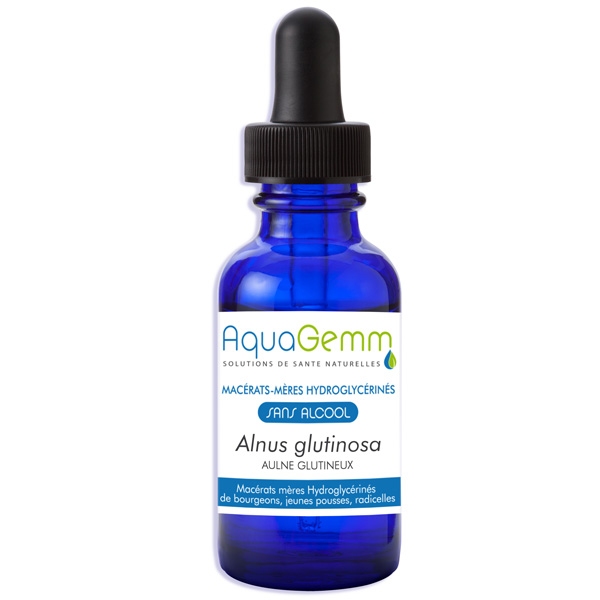 Phytothérapie Aulne glutineux bio bourgeon - Gemmo sans alcool 50 ml Aquagemm