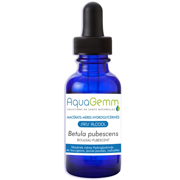 Phytothérapie Bouleau Pubescent bio bourgeon - Gemmo sans alcool 50 ml Aquagemm