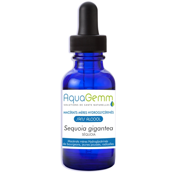 Phytothérapie Sequoia bio bourgeon - Gemmo sans alcool 50 ml Aquagemm