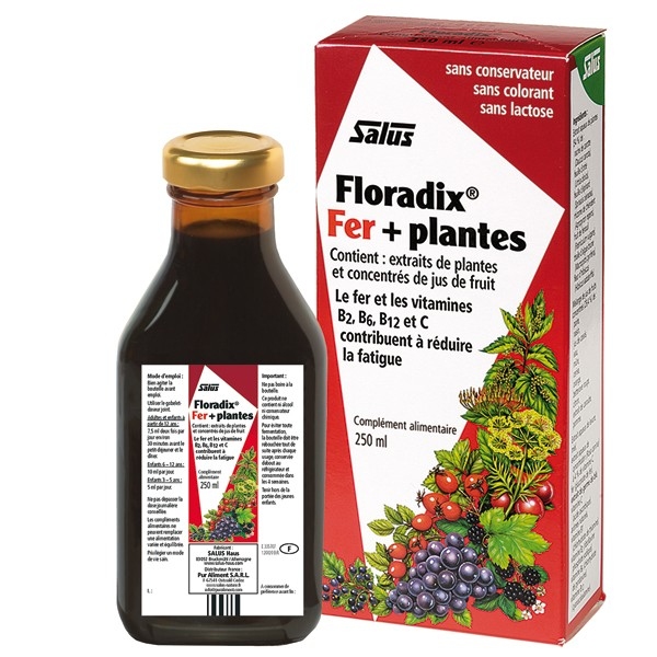 Floradix Fer + Pantes - Flacon 250 ml Salus