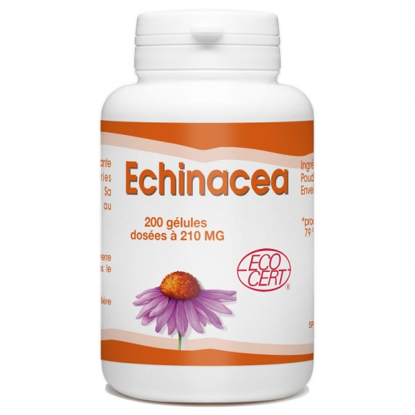 Phytothérapie Echinacea Bio 200 gelules GPH