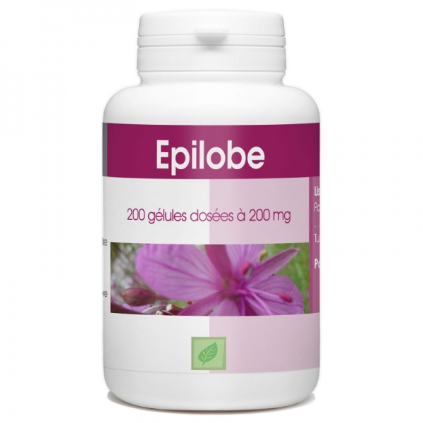 Phytothérapie Epilobe 200 gelules GPH