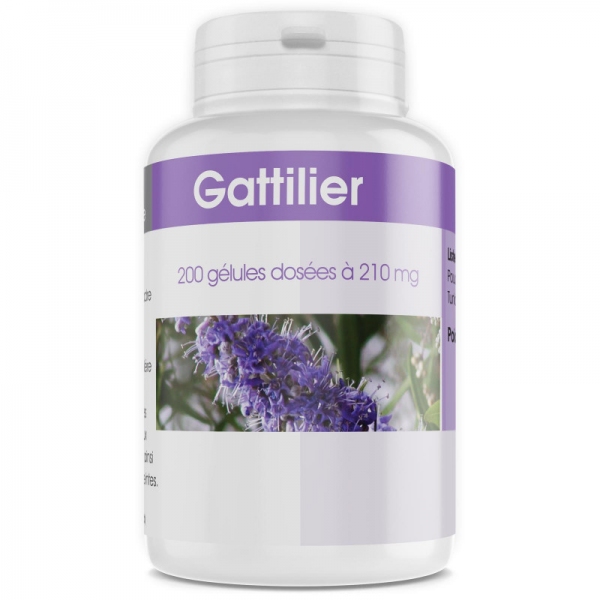 Phytothérapie Gattilier 200 gelules GPH