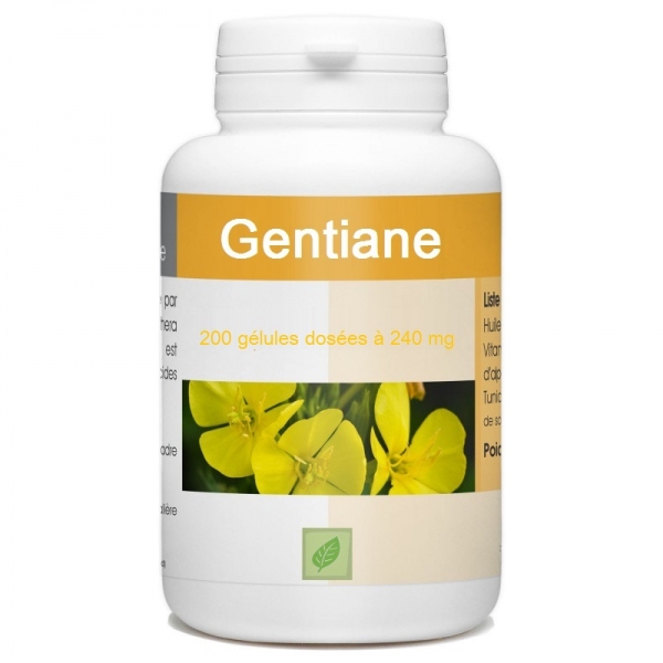 Phytothérapie Gentiane 200 gelules GPH