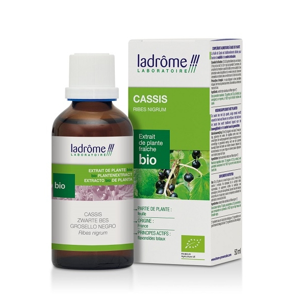 Cassis - Extrait de Plante Fraiche Bio 50ml Ladrôme